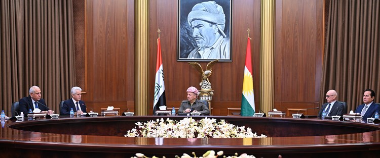 شاندیی باڵای ئەنەکەسە ١.JPG